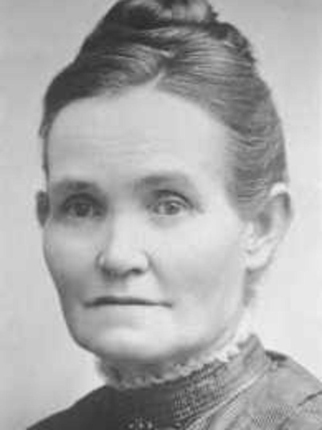 Mary Findley Henderson (1855 - 1918) Profile